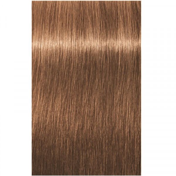 7-65 Mittelblond Schoko Gold Igora Royal