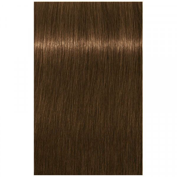 7-140 Mittelblond Cendré Beige Natur Igora Royal Absolutes