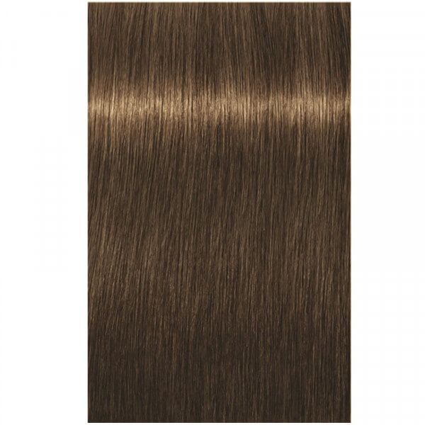 6-4 Dunkelblond Beige Igora Royal
