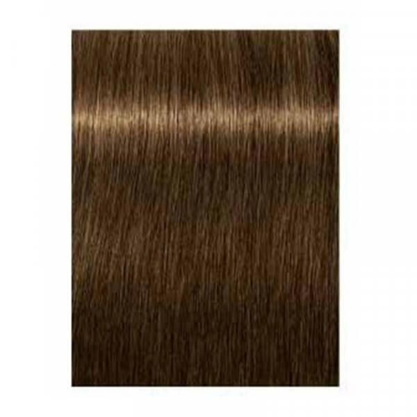 6-46 Dunkelblond Beige Schoko Igora Royal